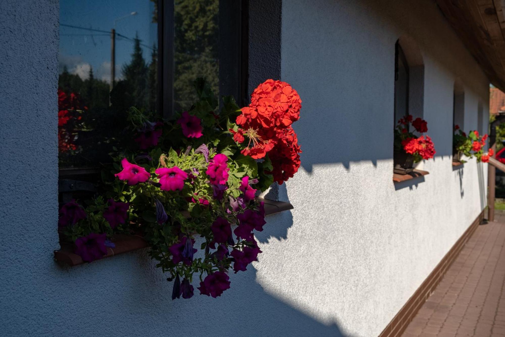 Siedlisko Leszczewek Villa Luaran gambar